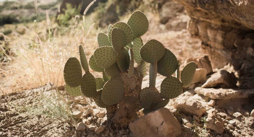 outdoor adventure trip for high school students in texas